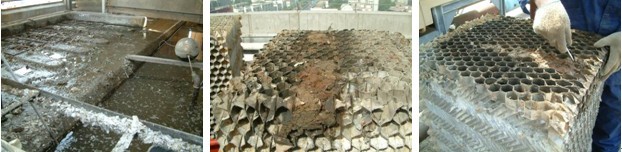 �˹���������